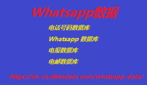 WhatsApp 手机号码数据